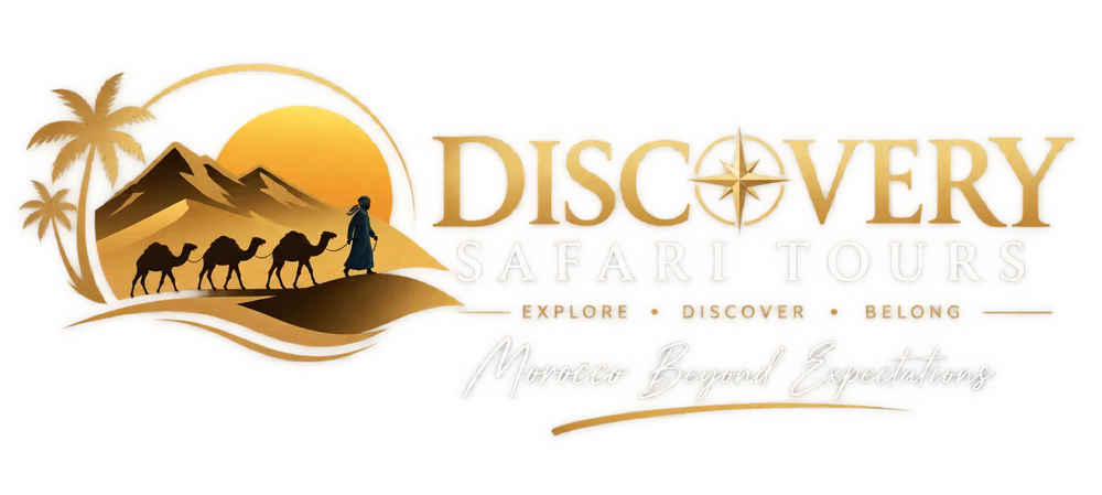 Discvery Safari Tours