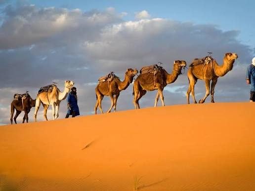 Remote piste on the Sahara to Atlantic expedition