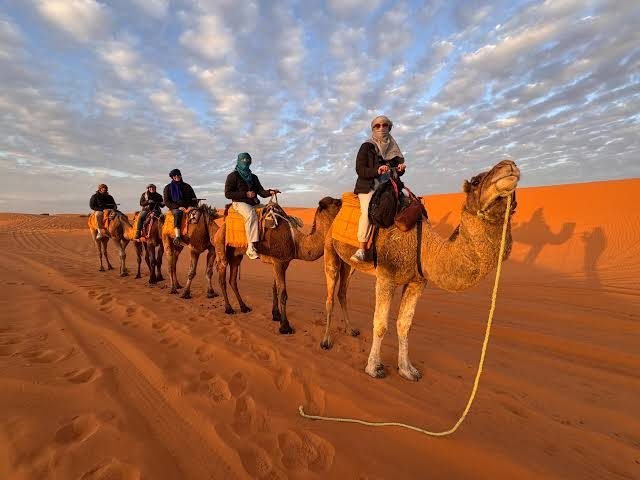 Atlantic and desert landscapes on the grand expedition