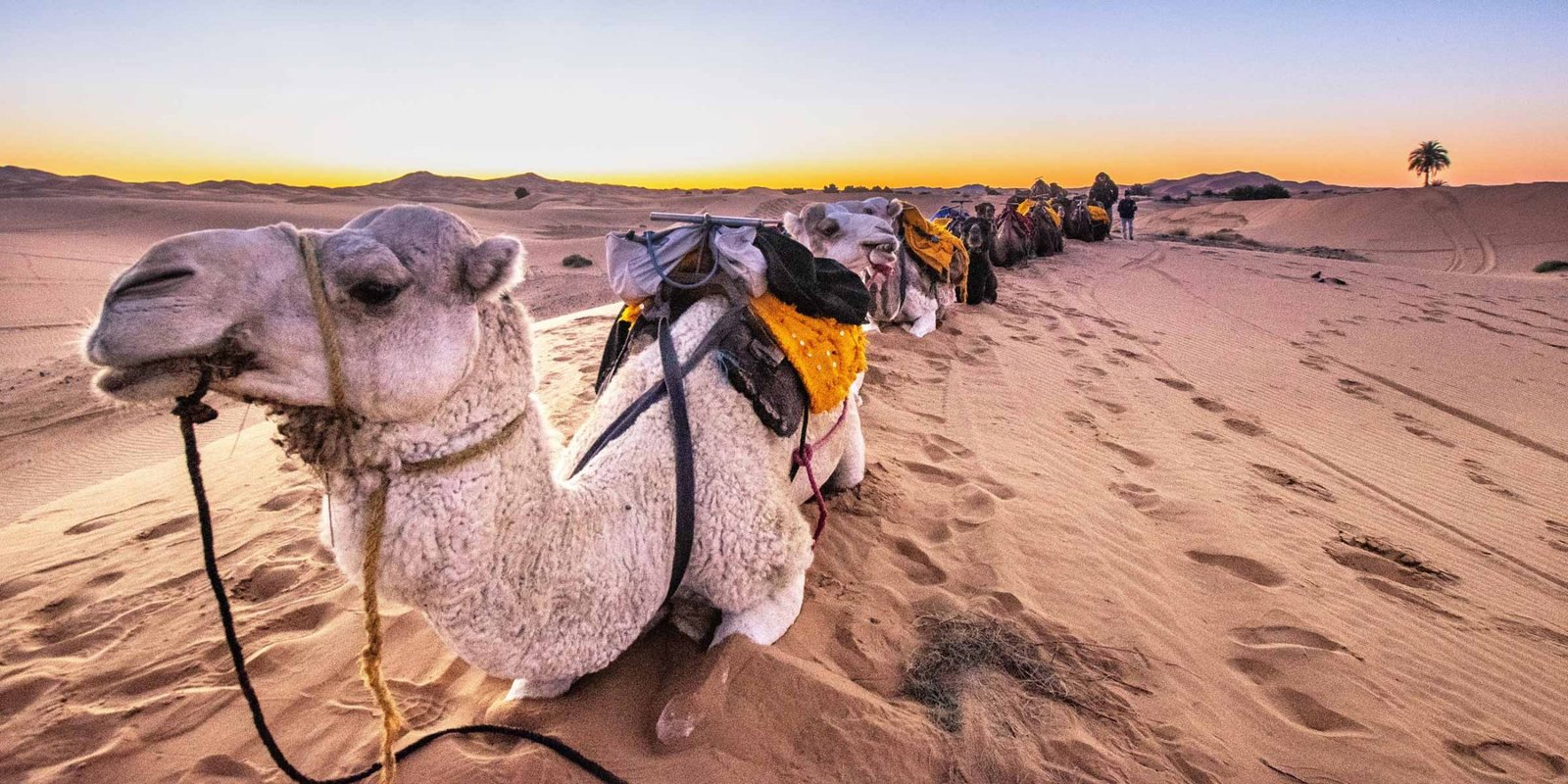 Southern Morocco scenery on a ten day 4x4 tour
