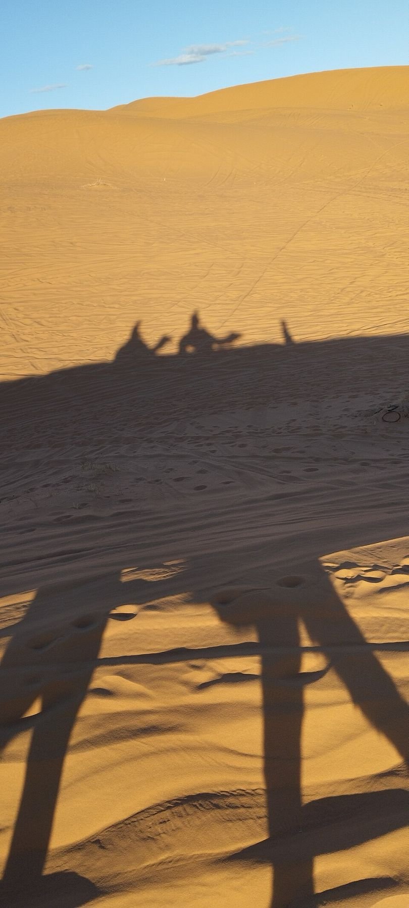 Camel experience among the Merzouga dunes
