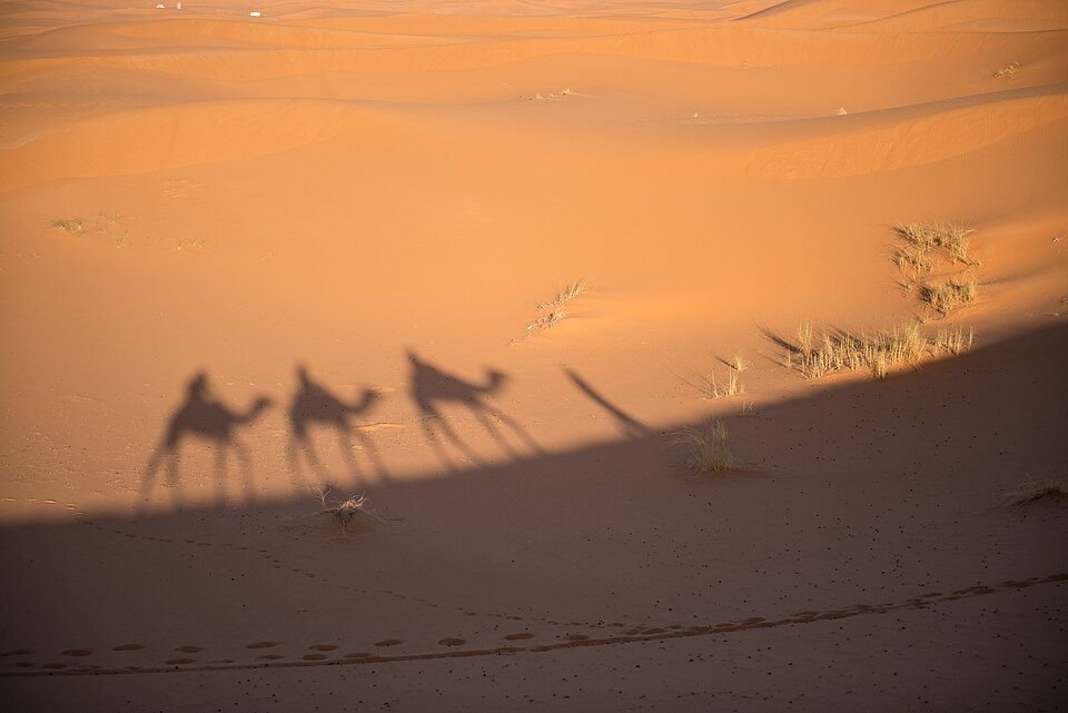 Camel trekking across Erg Chebbi dunes