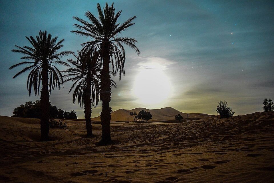 Excursión de un día de Errachidia a Merzouga Sahara — Foto del tour