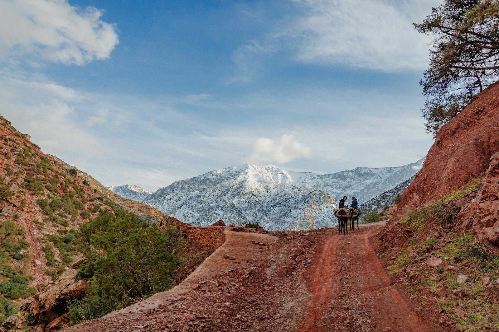 Passeio de um dia pelo Vale de Ourika saindo de Marraquexe