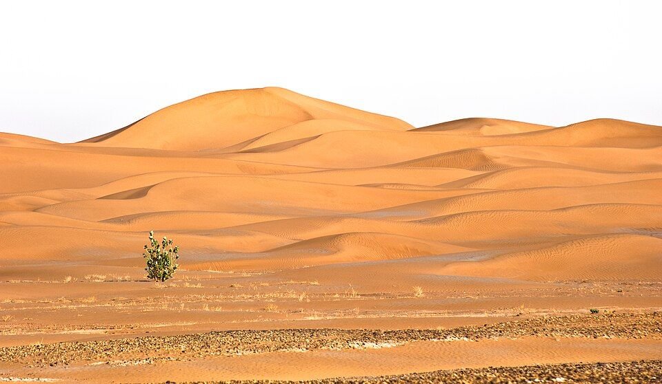 Circuit de 4 jours : Boudnib à Erg Chegaga 4×4 expédition — Photo du circuit