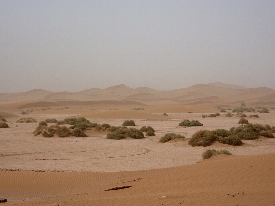 Tour di 4 giorni: Marrakech a Erg Chegaga via Ouarzazate — Foto del tour