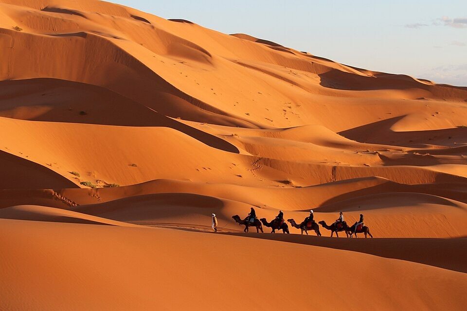 Sahara camel rider near Merzouga