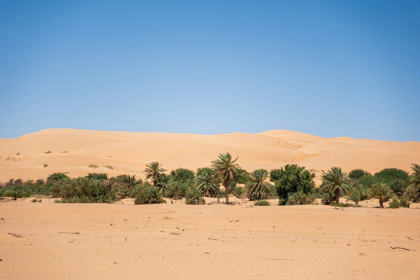 Tour de 25 dias: Private Mauritania 4×4 Round Trip (extendable até 30 days)